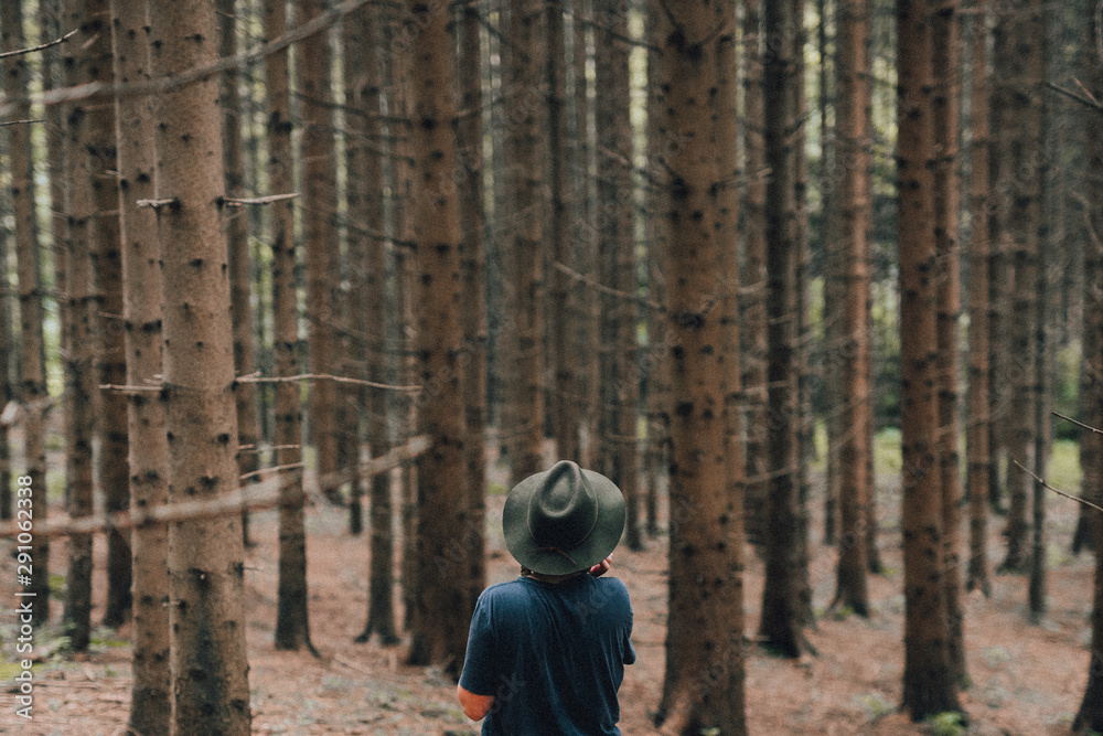Fototapeta premium Girl in Forrest