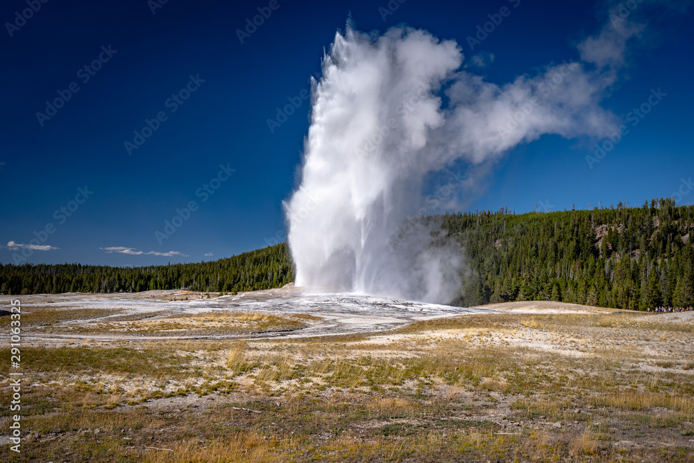 Old Faithful geyser in Yellowstone National Park, Wyoming, USA