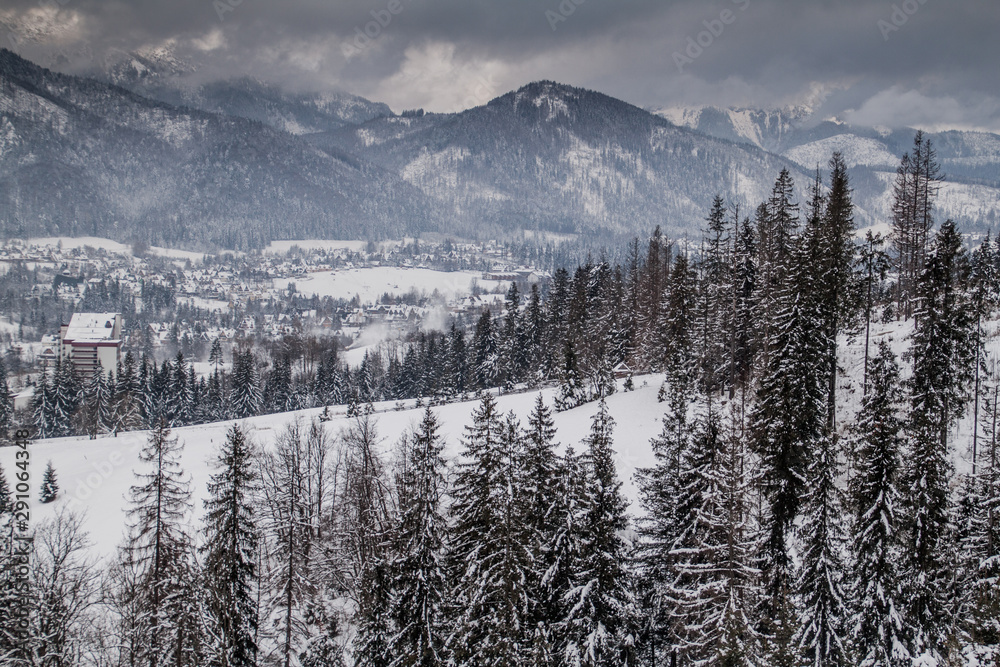 Winter aerial view of Zakopane, Poland