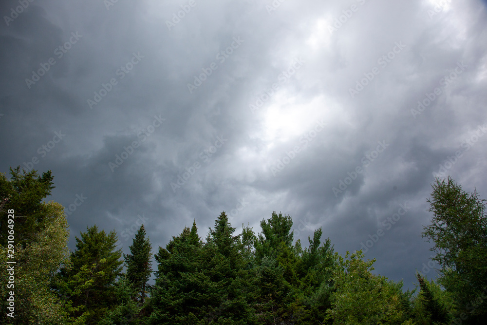 dark ominous storm clouds above trees