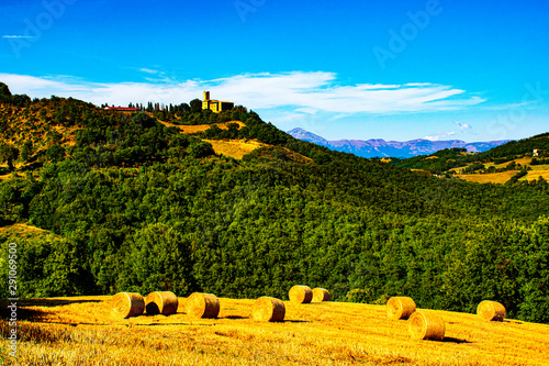 Yellow fields and castle one