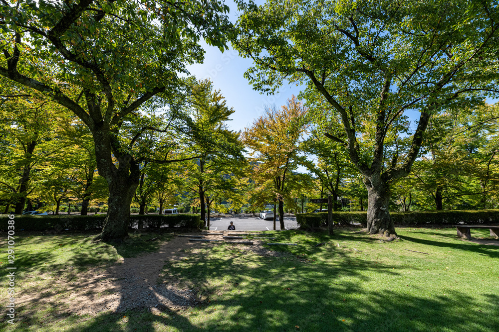 初秋の樹木公園風景