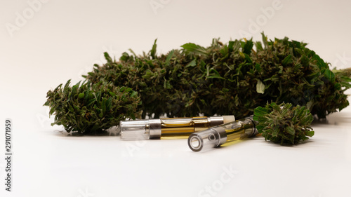 CBD oil vape cartridges in front of hemp buds on white background. Commercial hemp farming to produce CBD based consumer products. 