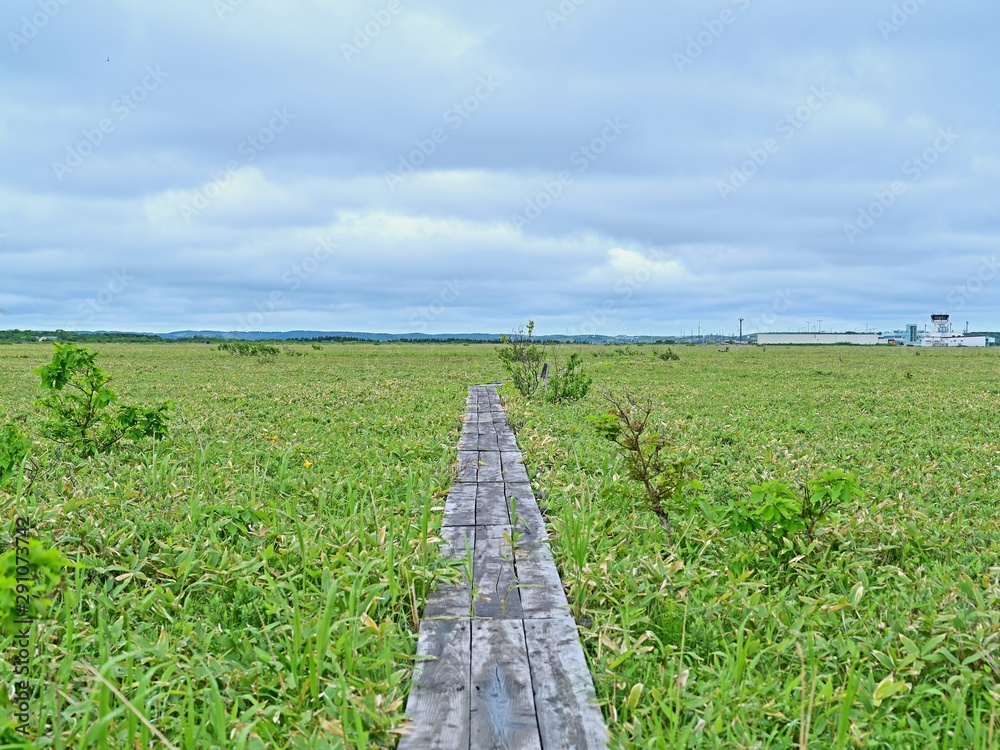 メグマ沼自然公園遊歩道から見る情景＠北海道