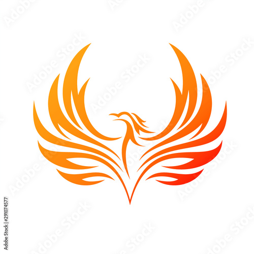 Charming Phoenix Illustration for Logo or Icon