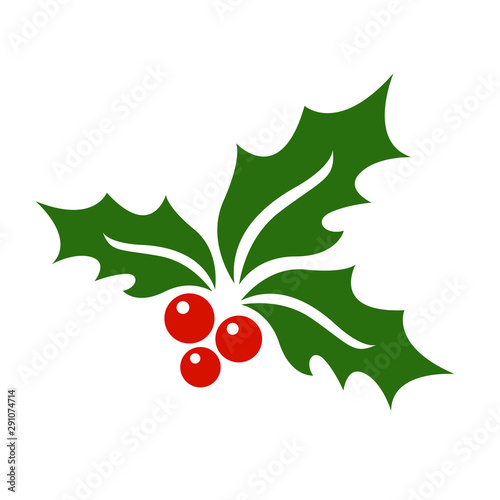 Mistletoe icon vector. photo