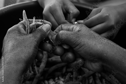 Hard working elderly woman works to support family