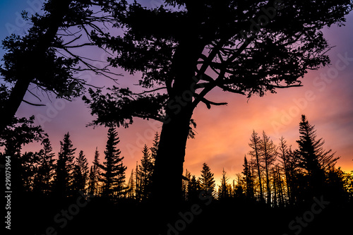 Wild Goose Island at Dawn photo
