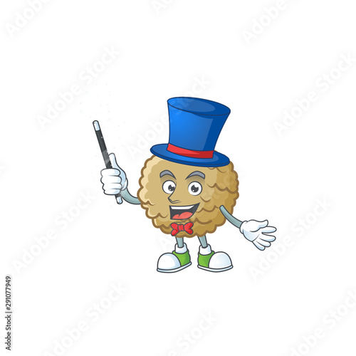 Magician marolo fruit cartoon character mascot style.