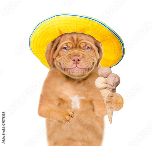 Smiling puppy with summer hat holding ice cream. isolated on white background