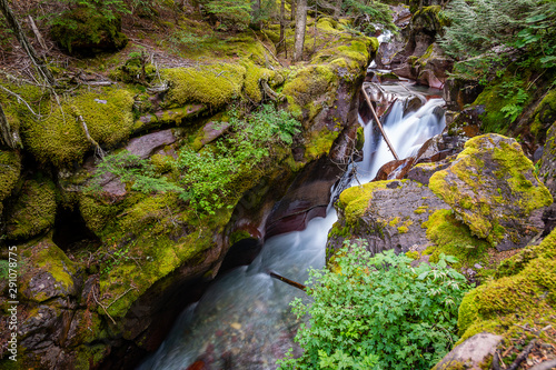 Trail of the Cedars  Avalanche Creek  and Avalanche Lake in Glacier National Park  Montana
