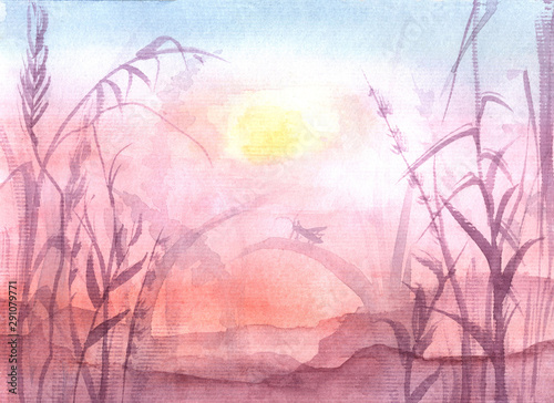 Silhouette of grass field, insect. Background of sunset, sunrise. Hand-drawn, watercolor. Panoramic view.