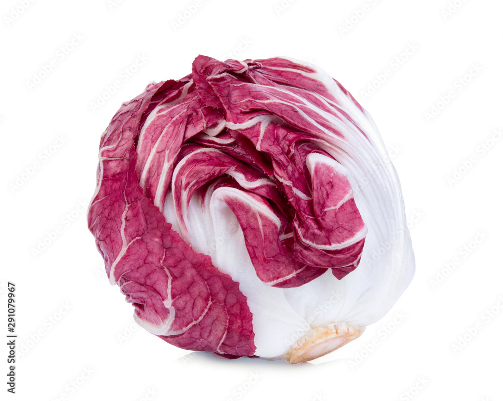 whole of red radicchio isolated on white background whole of red radicchio isolated on white background