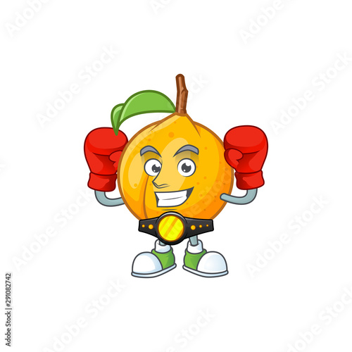 Boxing seeds nutmeg with cartoon character style