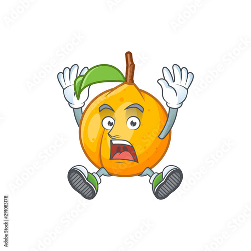 Successful fresh nutmeg cartoon for recipe food