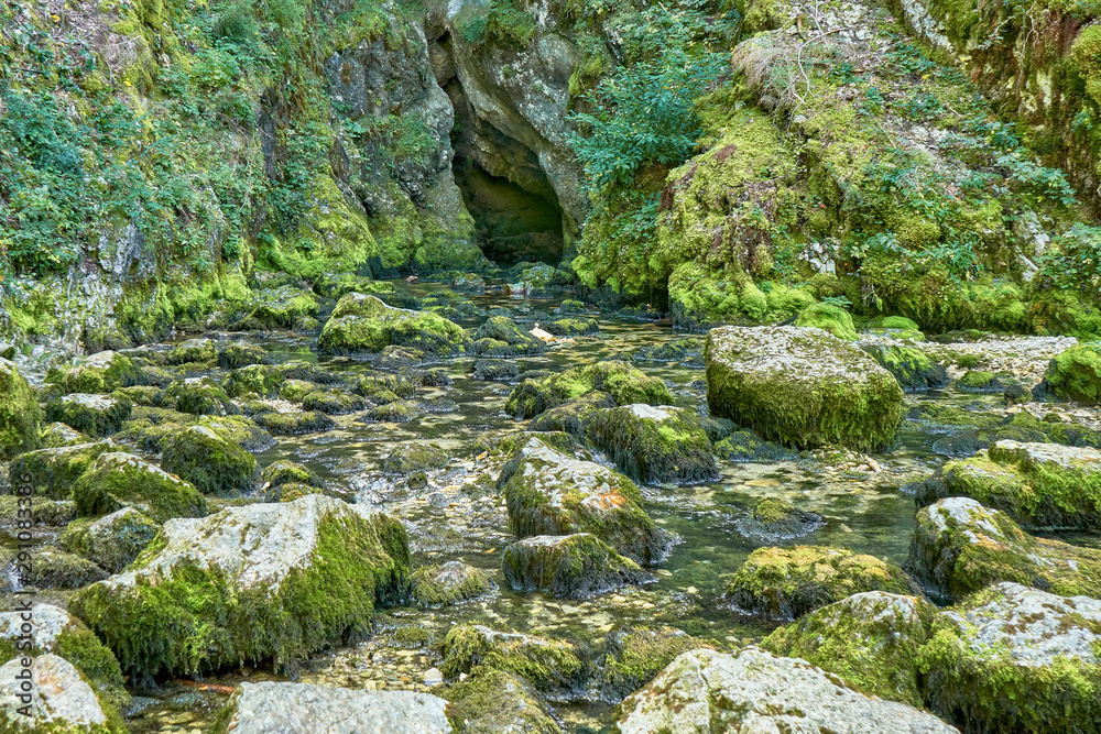 Source du Doubs Mouthe Franche Comté France with Green Plants Source du Doubs Mouthe Franche Comté France with Green Plants
