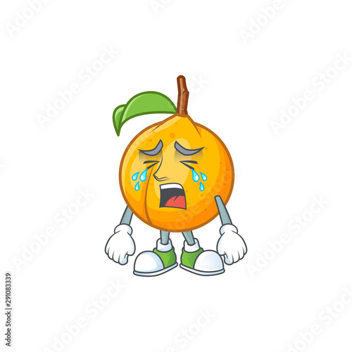 Crying whole nutmeg character cartoon with mascot
