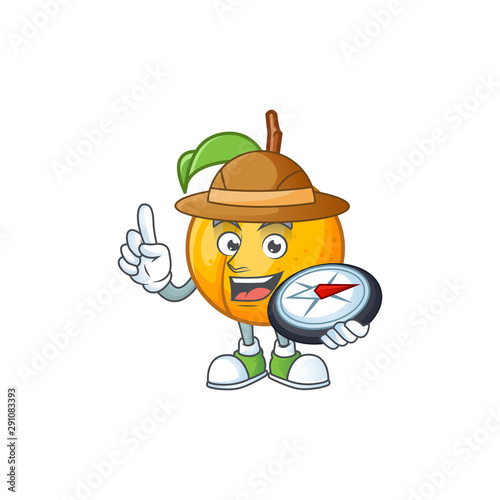 whole nutmeg character cartoon with mascot