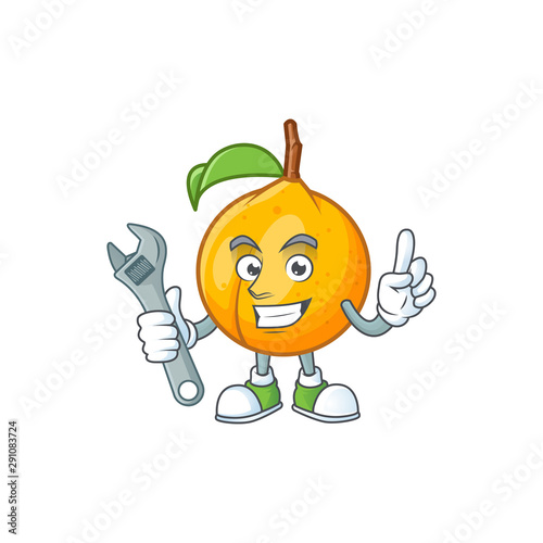 Mechanic seeds nutmeg cartoon on white background