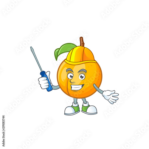 Automotive seeds nutmeg cartoon on white background