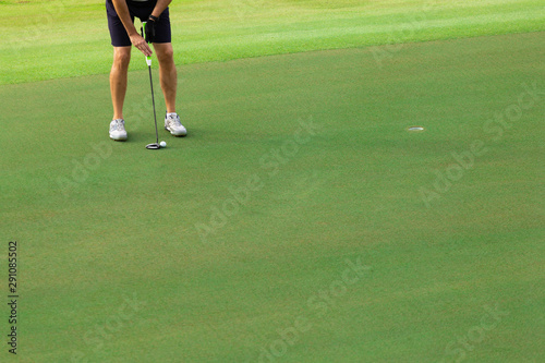 Golfer putting golf ball on the green golf,