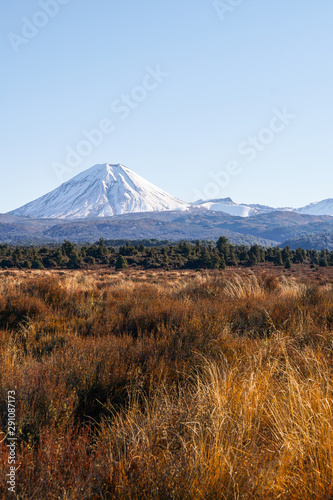 Tongariro National Park New Zealand