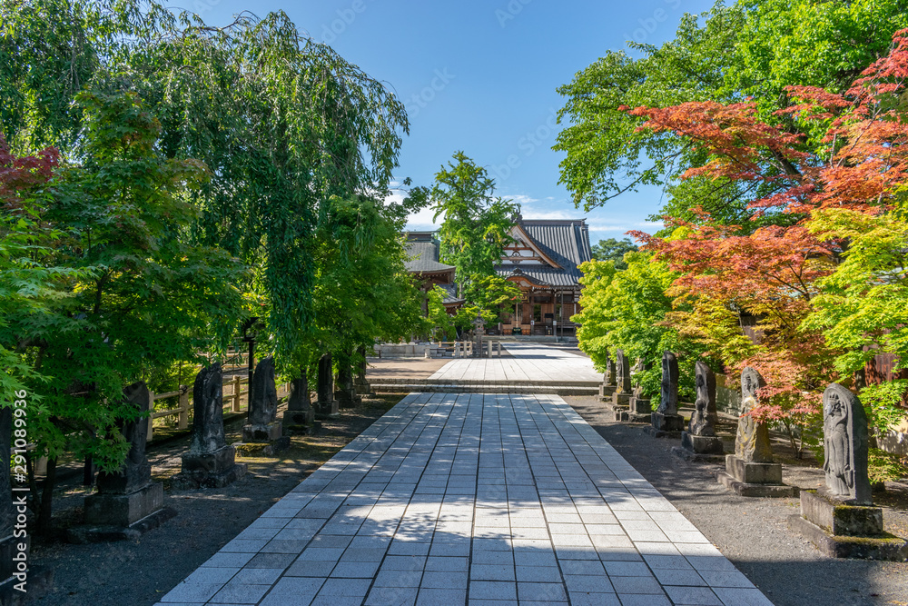 Path to temple, Hirosaki, Japan