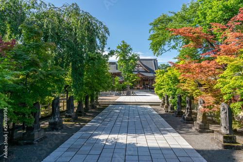 Path to temple, Hirosaki, Japan