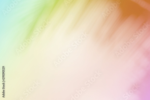 Soft blurred tropical palm leaf with a pastel color background.