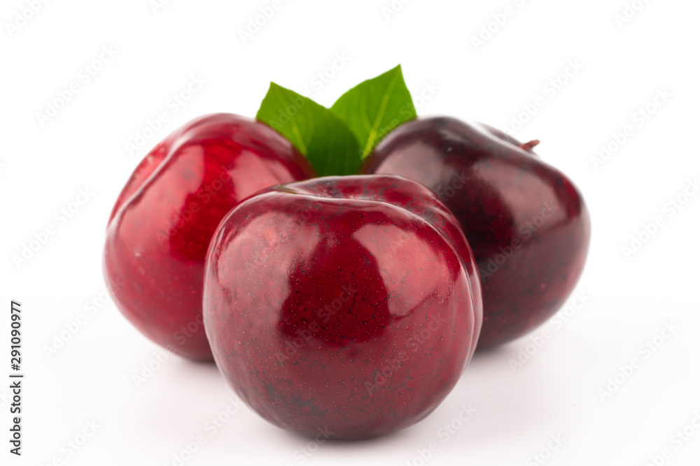 ripe red plum on white background