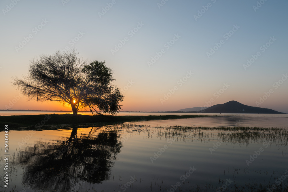 Trees in the flooded during sunset Pa Sak Jolasid dam, Thailand Trees in the flooded during sunset Pa Sak Jolasid dam, Thailand