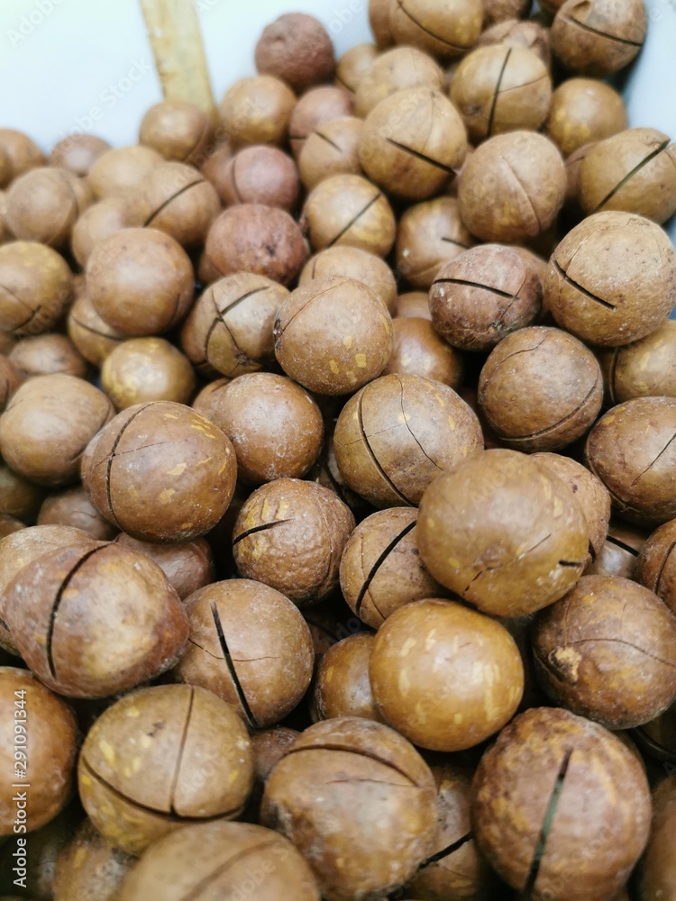 Macadamia nuts in shells, unpeeled. Closeup photo Stock Photo Adobe