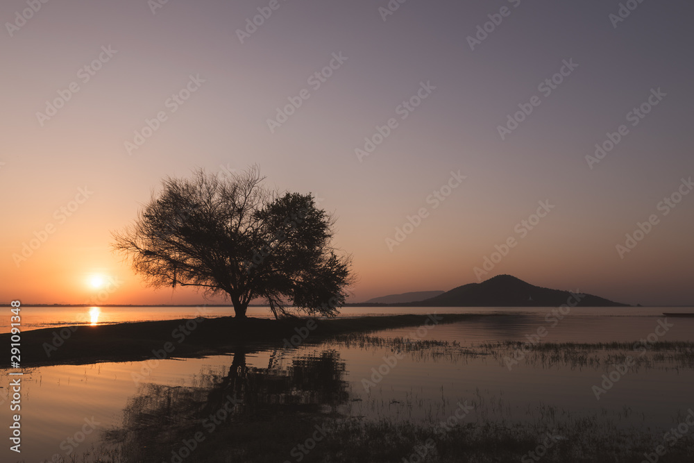 Trees in the flooded during sunset Pa Sak Jolasid dam, Thailand Trees in the flooded during sunset Pa Sak Jolasid dam, Thailand
