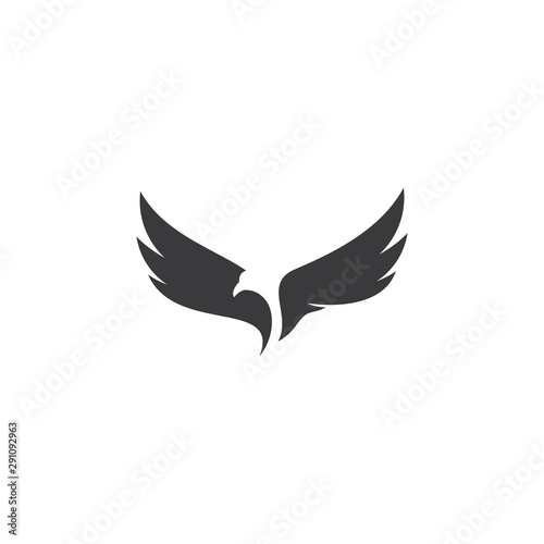 Falcon Eagle Bird Logo