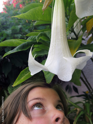girl looking inside a giant angel's trumpet