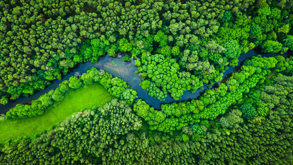 Glasbilder Natur Fluss und grüner Wald im Naturpark Tuchola, Luftbild  © shaiith