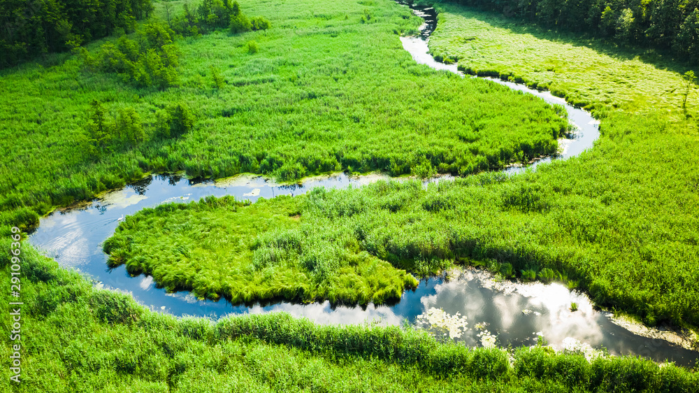 Small winding river among green swamps, aerial view Small winding river among green swamps, aerial view