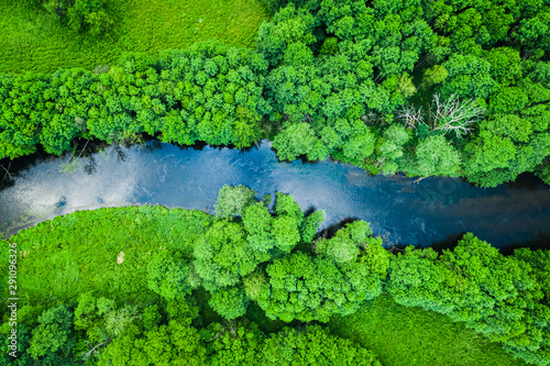 Green forest and river in Tuchola natural park, from above