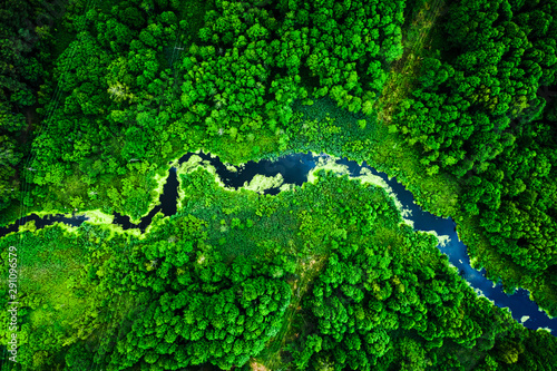 Amazing blooming algae on the river in summer, flying above © shaiith