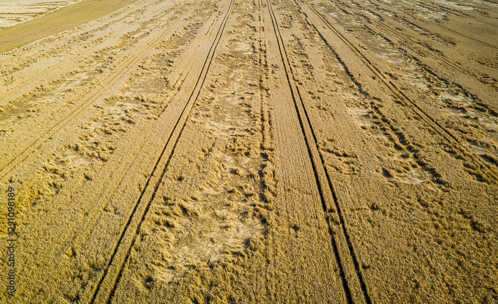 Terrible wind damage in a field in summer, aerial view Terrible wind damage in a field in summer, aerial view