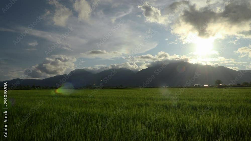 Sunset Rice field mountain background, blue sky, cloudsy green grass, tropical , summer Sunset Rice field mountain background, blue sky, cloudsy green grass, tropical , summer