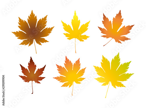Set of colorful autumn leaves. Maple leaves illustration.