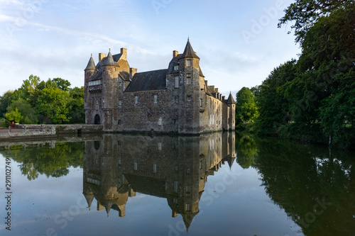  Trecesson Castle reflected in the pond and surrounded by forest