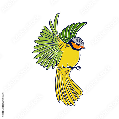 flying birds vector illustration