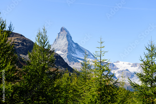 Different view of the mountain Matterhorn  Zermatt  Valais in the Swiss Alps  blue sky  no clouds in early autumn  tree in foreground