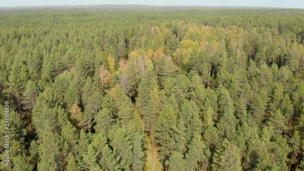 Aerial survey from a drone of a forest of pine and colorful trees. Top view of the autumn forest from a quadcopter Aerial survey from a drone of a forest of pine and colorful trees. Top view of the autumn forest from a quadcopter