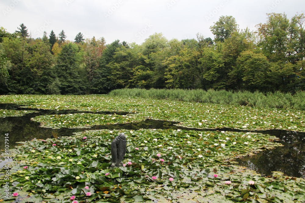 Obraz premium Water Lilies in Tivoli Parl in Ljubljana, Slovenia