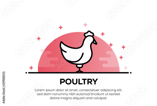 POULTRY ICON CONCEPT