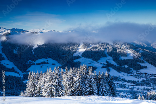 Beautiful view of mountains and snowy fir trees in wintertime. © belyaaa