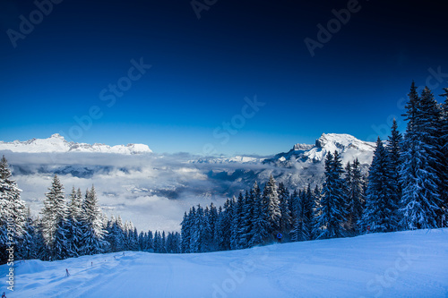 Beautiful view of mountains and snowy fir trees in wintertime. © belyaaa